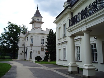 Pałac w Radziejowicach.