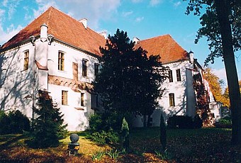 Zamek w Szamotułach.